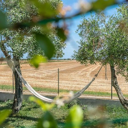 OrtoPì Country Canapa House Porto Recanati Esterno foto